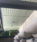 IMG_0751.jpeg