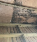 IMG_0606.jpeg