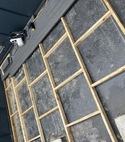 IMG_0007.jpeg